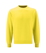 P.E. Sweatshirt - Beacon (Yellow) - Rothley C of E Academy